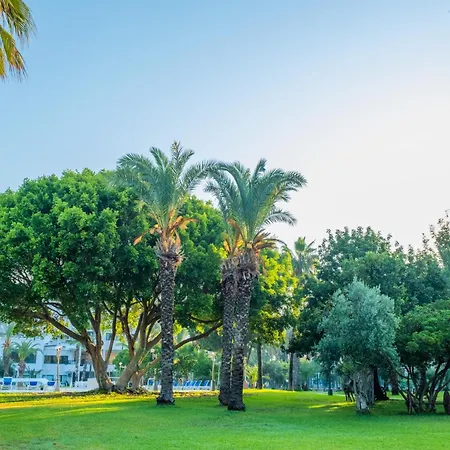 Sural (adults Only) Side