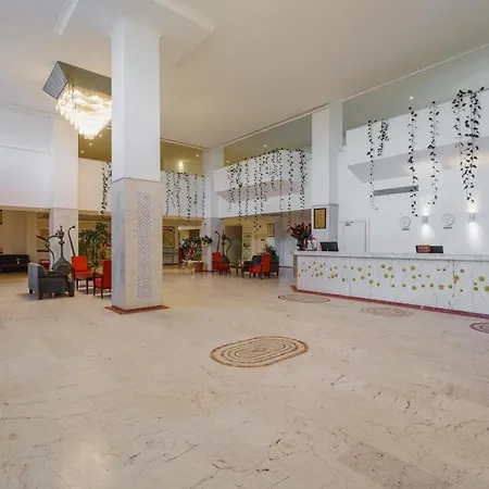 Sural (adults Only) Side