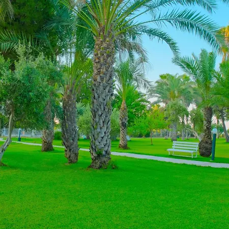 Rezort Sural (adults Only) Side