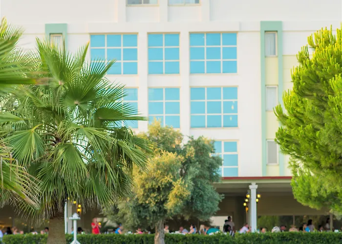 Complex Sural (adults Only) Side