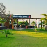 Sural (adults Only)