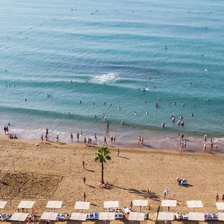 Sural (adults Only) Side