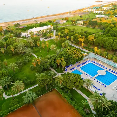 Sural (adults Only) Complex Side