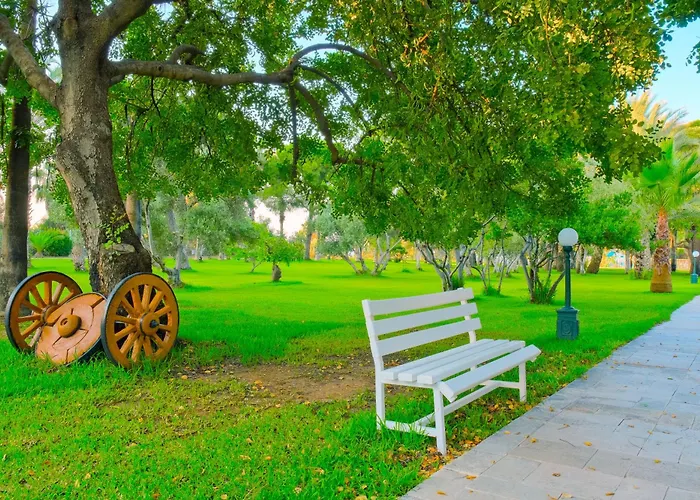 Sural (adults Only) 5*