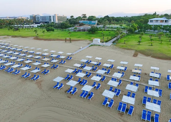 Sural (adults Only) 5* Side