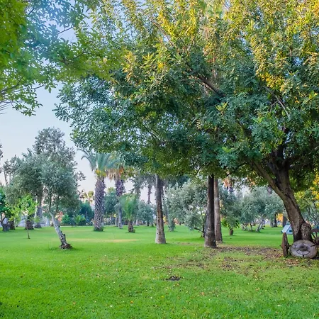 Sural (adults Only) 5* Side