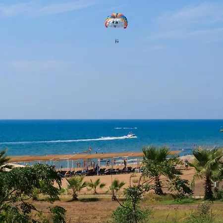 Sural (adults Only) Side