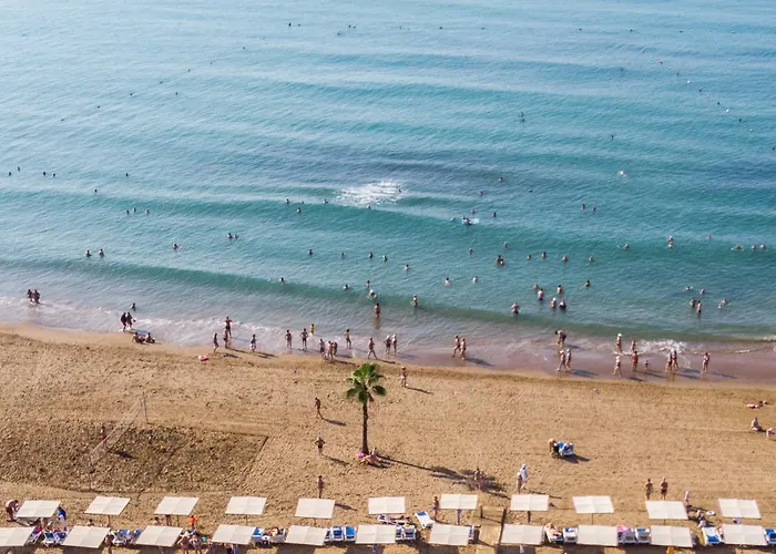 Sural (adults Only) Σιντέ