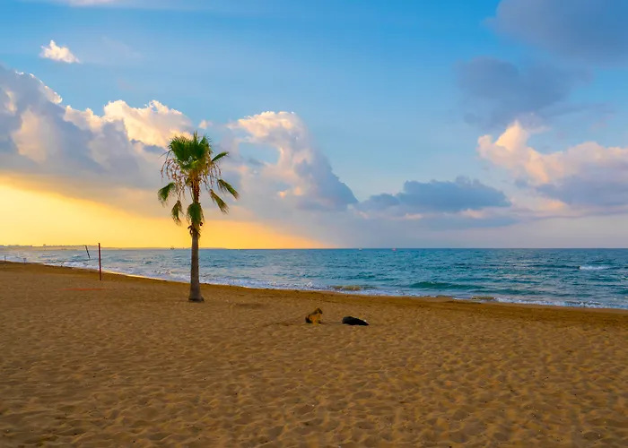 Sural (adults Only) Σιντέ