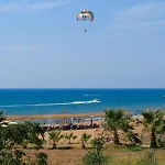 Sural (adults Only) Side